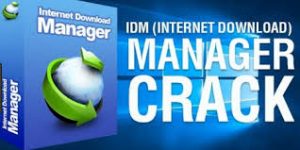 Internet Download Manager Crack With Product Key Free Download